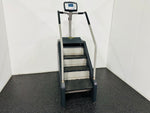 Load image into Gallery viewer, Ellipticals