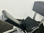 Load image into Gallery viewer, Life Fitness Pro 2 SE Platinum Leg Press
