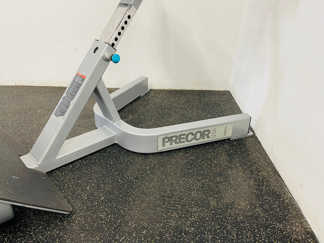 Precor Hyperextension Bench