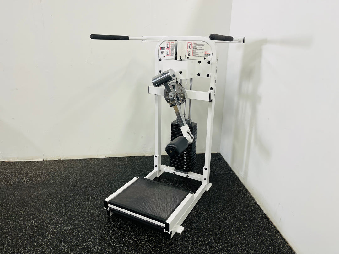 Paramounter Machine Paramout Multi Hip Machine
