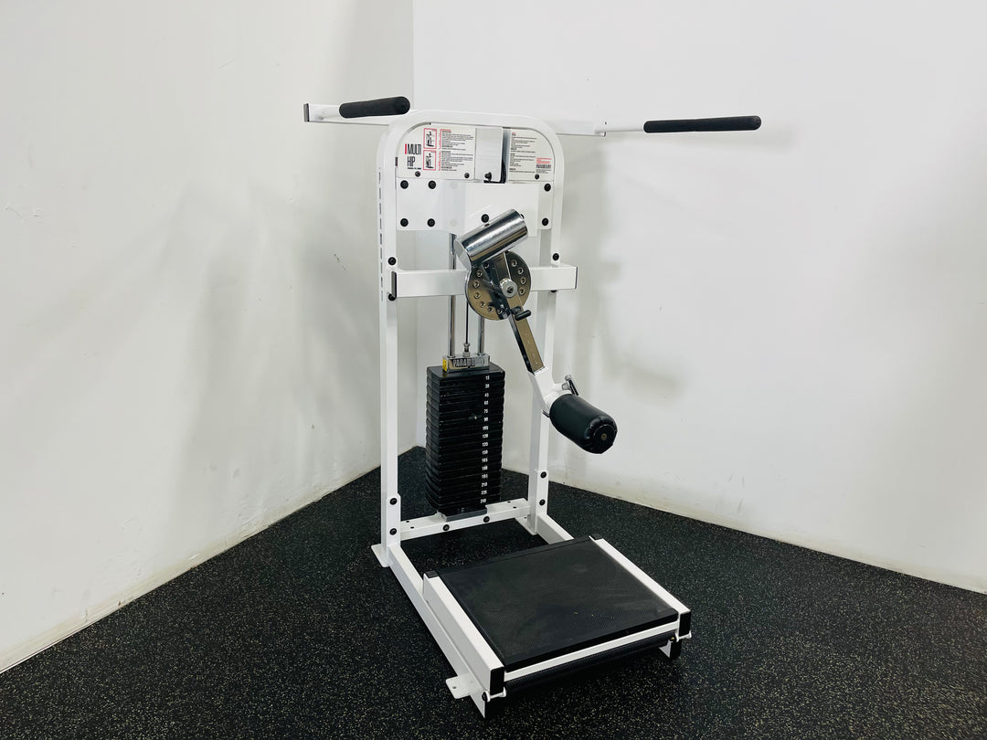 Paramout Multi Hip Machine