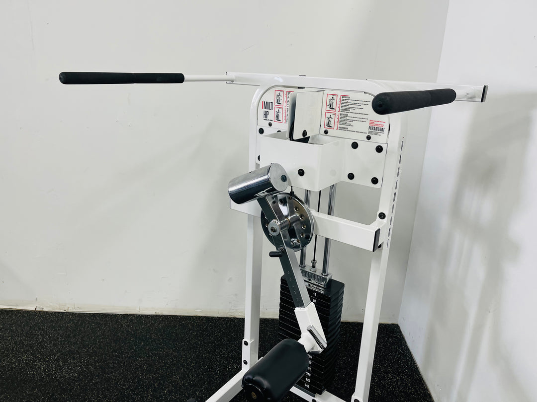 Paramout Multi Hip Machine