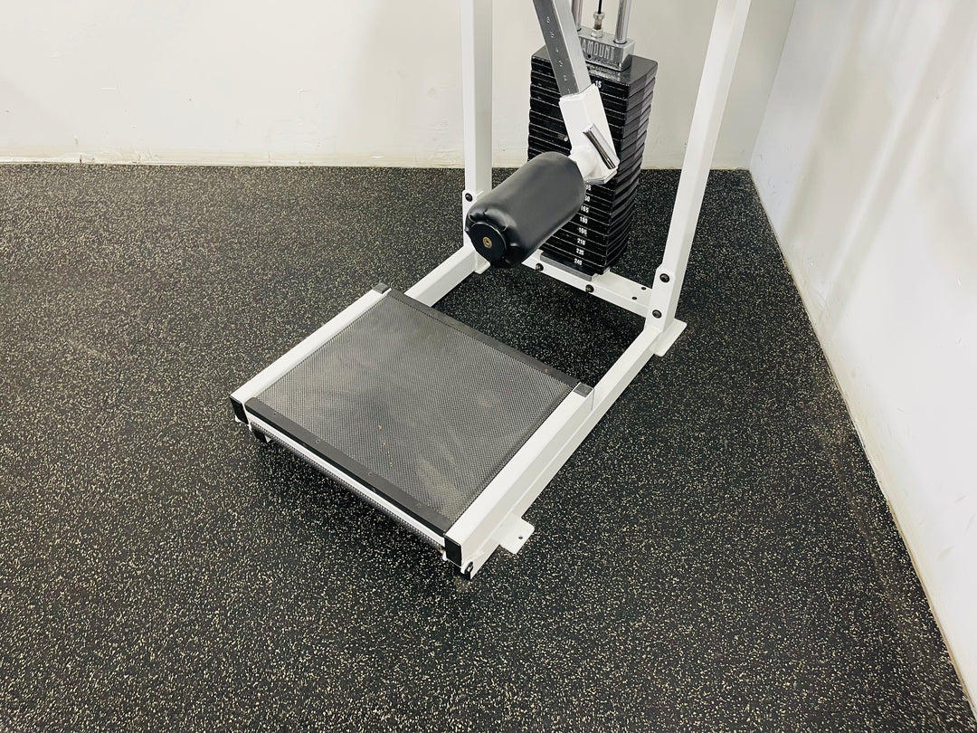 Paramout Multi Hip Machine