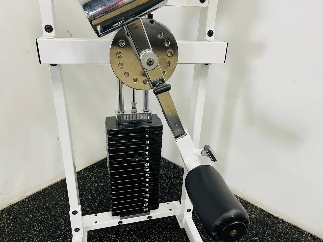 Paramout Multi Hip Machine