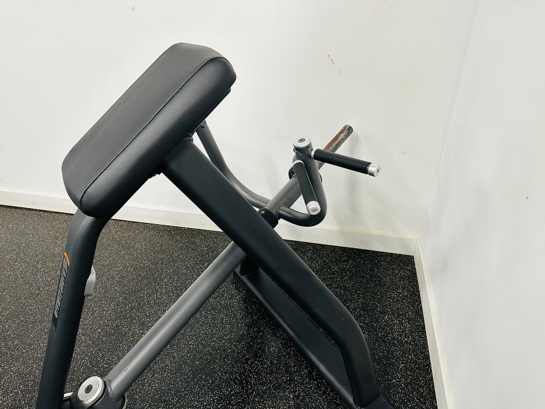 Precor Discovery Series Incline Lever Row