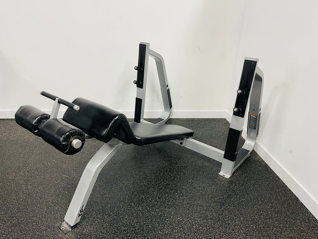 Precor Decline Bench Press