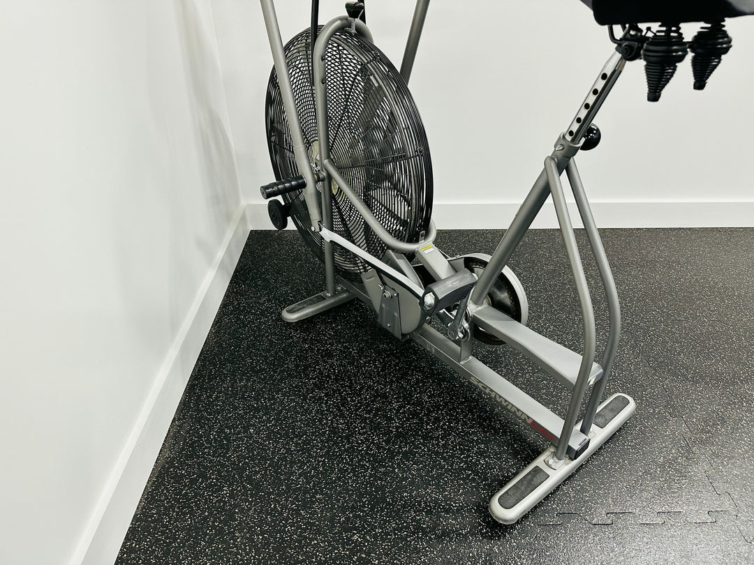 Schwinn Air Dyne Bike