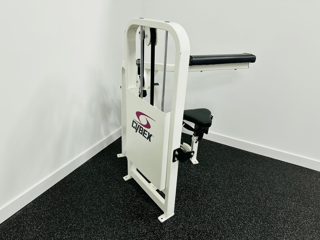 cybex vr2 ab crunch Cybex VR2 Ab Crunch Machine