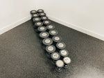 Load image into Gallery viewer, 5-50 lbs Pro Style SPRI Dumbbells
