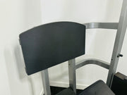 Life Fitness Pro 2 SE Platinum Leg Press