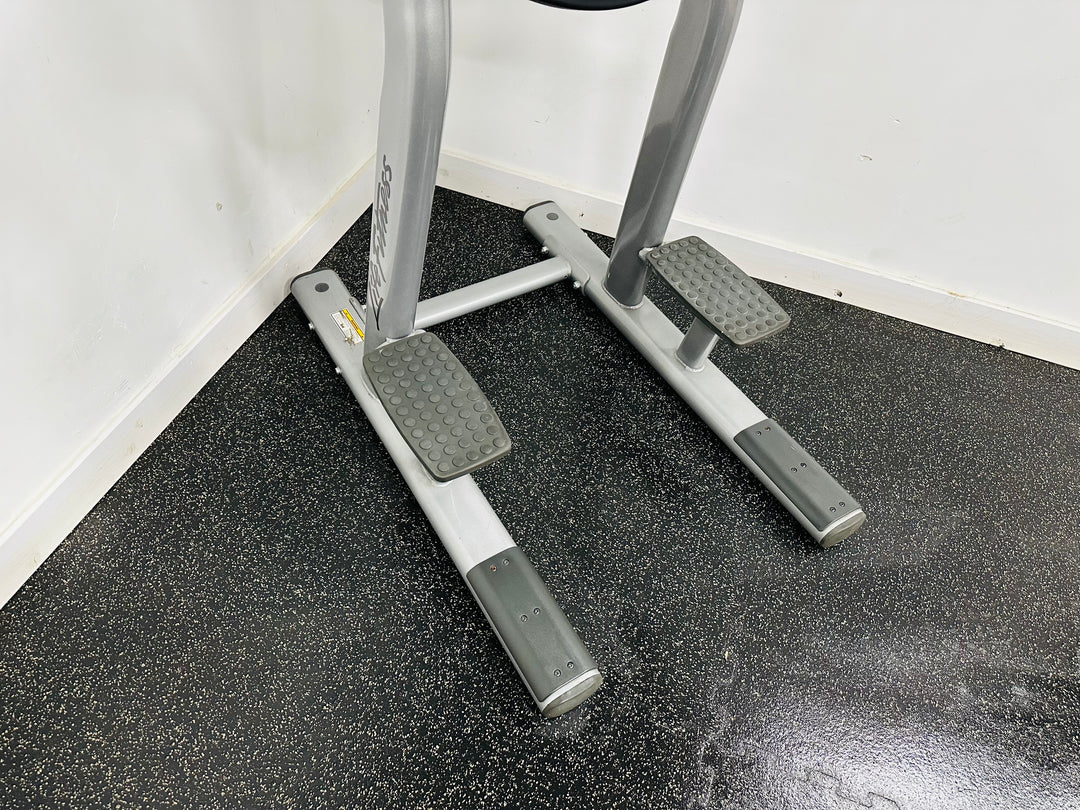 Commercial Life Fitness Leg Raise