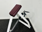 Load image into Gallery viewer, Precor Incline Lever Row - T Bar Row
