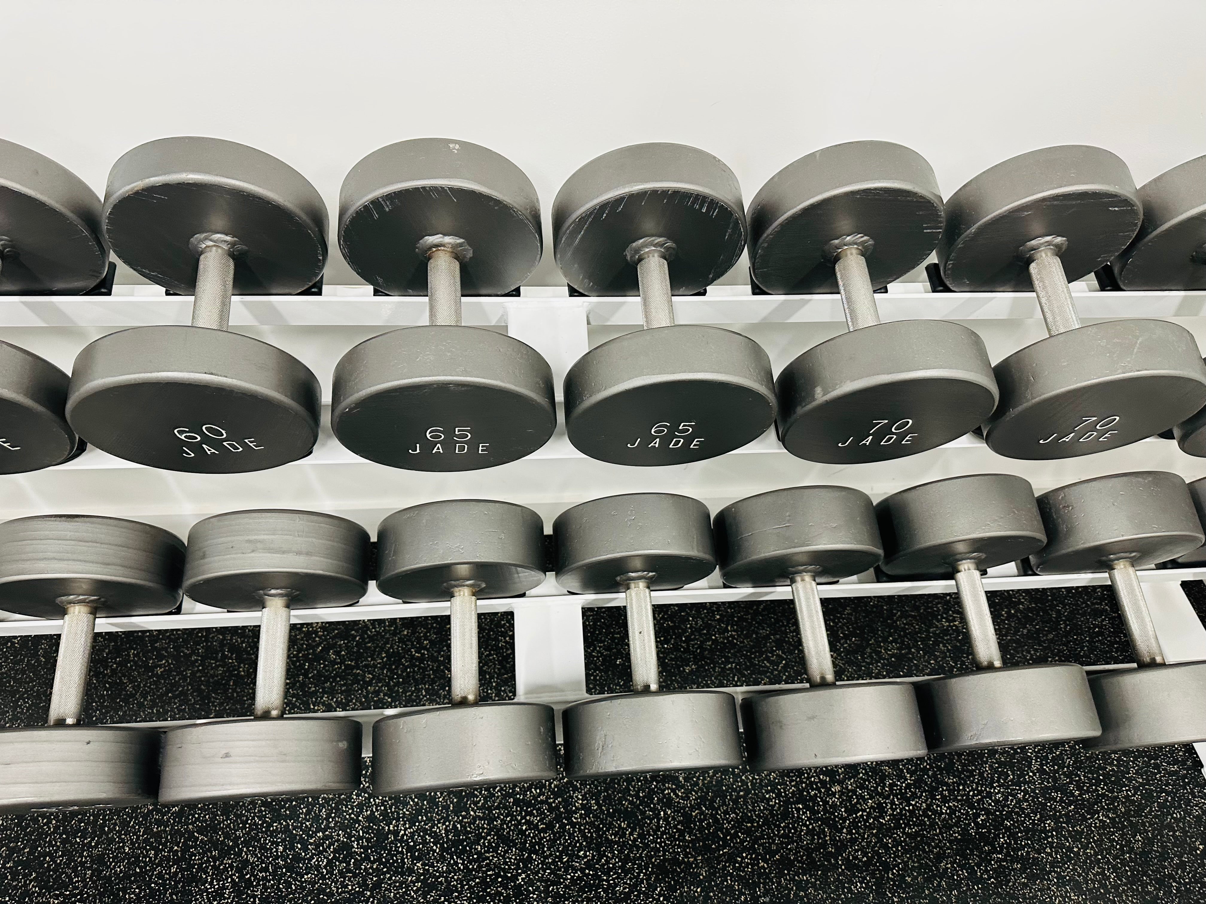 Dcb Rack Jade Dumbbell Set 5–100 lb with Icarian Dumbbell Racks